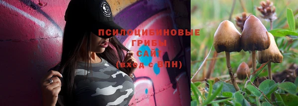 крисы Абинск